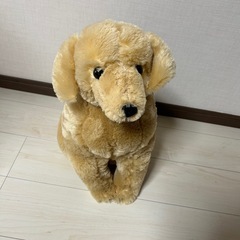 ほっこりゴールデンレトリバー　金太郎　犬　ぬいぐるみ