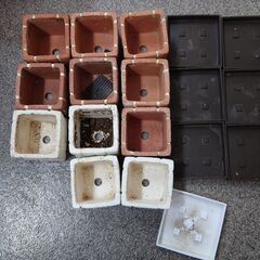 植木鉢（中古）11個と受け皿7枚
