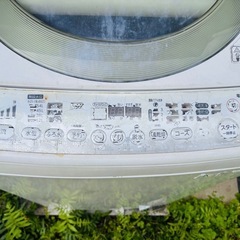 東芝　洗濯機の画像