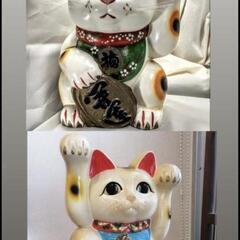 まねき猫探しています！