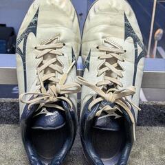 Mizuno スパイク ホワイト/ネイビー25.0cm