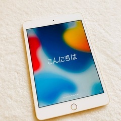 iPad mini4　