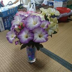 枯れない花②