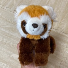 Tokyo Zoological Park ★ レッサーパンダ　...