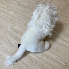 木下大サーカス ★ ホワイトライオン　ぬいぐるみ　人気の画像
