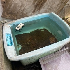 風呂桶