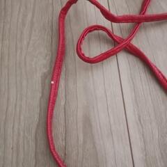猫バック の画像