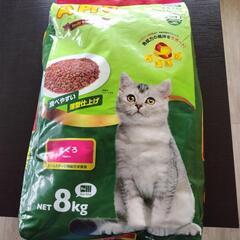 キャットフード ドライ 8kg 未開封の画像