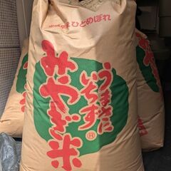 【農家直送】令和5年産 宮城県産ひとめぼれ 玄米30kg