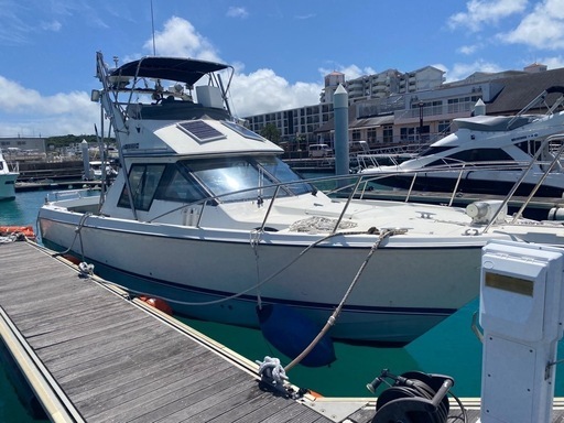 ヤマハ 34フィート