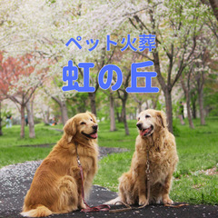◇札幌ペット訪問葬儀・火葬は虹の丘へ