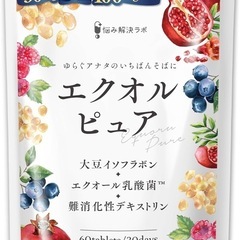 エクオルピュア エクオール 乳酸菌 イソフラボン  30日分60...