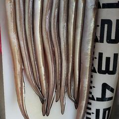 釣具　釣り　マアナゴ仕掛けの画像