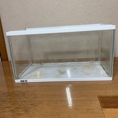 GEX 3cm 水槽