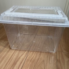 虫かご　ケース　観察ケースの画像