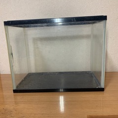30cm水槽です