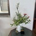 ランキングキーワードに紐づく投稿画像-多肉植物