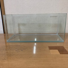 45cmガラス水槽