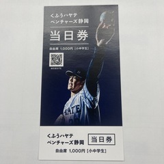 くふうハヤテベンチャーズ静岡　親子チケットの画像