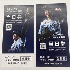 くふうハヤテベンチャーズ静岡　親子チケット