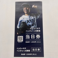 くふうハヤテベンチャーズ静岡　親子チケットの画像