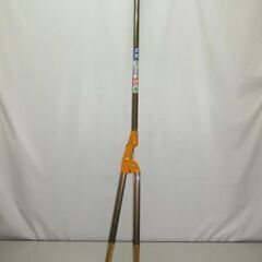 stp-3168　ニシガキ　太丸 1500　N-154　果樹・植...