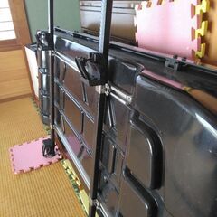 (お話中)カールーフ(土日に取りに来れる方に譲ります)の画像