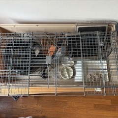 ハリネズミ飼育セットの画像