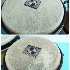 ● World Beat Percussion ボンゴ ラテン 太鼓 パーカッション 打楽器 約 7/8.5インチ  趣味 パフォーマンス ディスプレイ オブジェ インテリア 木製 中古 ③の画像