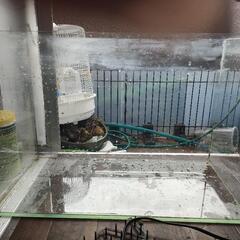 tetra 60cm 水槽 ハイタイプ
