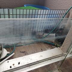 tetra 60cm 水槽 ハイタイプの画像