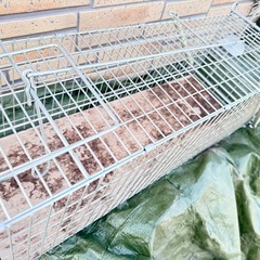 動物用捕獲器 アニマルトラップ 踏み板式 野良猫 迷子猫 小動物 保護 害獣駆除の画像