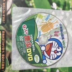 小学館　
昆虫カブトムシ図鑑２冊の画像