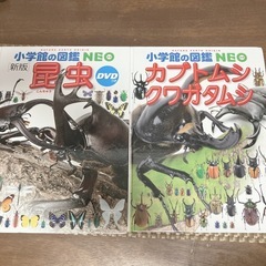 小学館カブトムシ図鑑２冊おまけつき