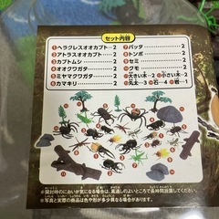 小学館　
昆虫カブトムシ図鑑２冊の画像