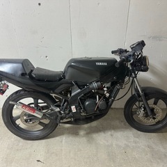 tzr50  引き取り限定
