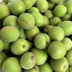 青梅　1kg500円