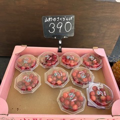 山形のさくらんぼ入荷しました🍒