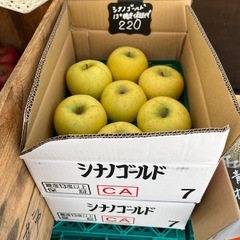シナノゴールド糖度保障付き入荷しました🍎✨