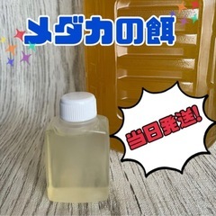 ゾウリムシ＋増やし方説明書。発送・受取可能⭐︎稚魚やメダカ、熱帯...