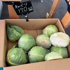茨城県産キャベツ入荷しました✨