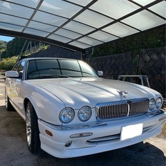 x308 ジャガー　JLGB3.2