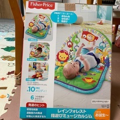 レインフォレスト指遊びミュージカルジムの画像