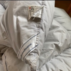 羽毛掛け布団と毛布 2枚の画像