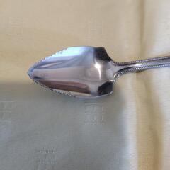 グレープフルーツ　スプーンの画像