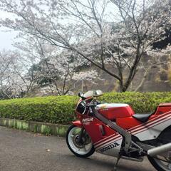 旧車！NSR250　ツースト　説明分見てください