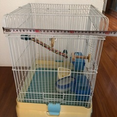鳥カゴの画像