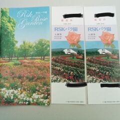 RSKバラ園　入場券　2枚　1000円