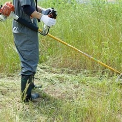 除草作業致します。