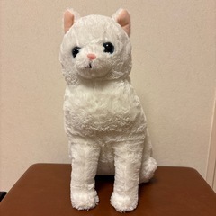 ねこぬいぐるみ